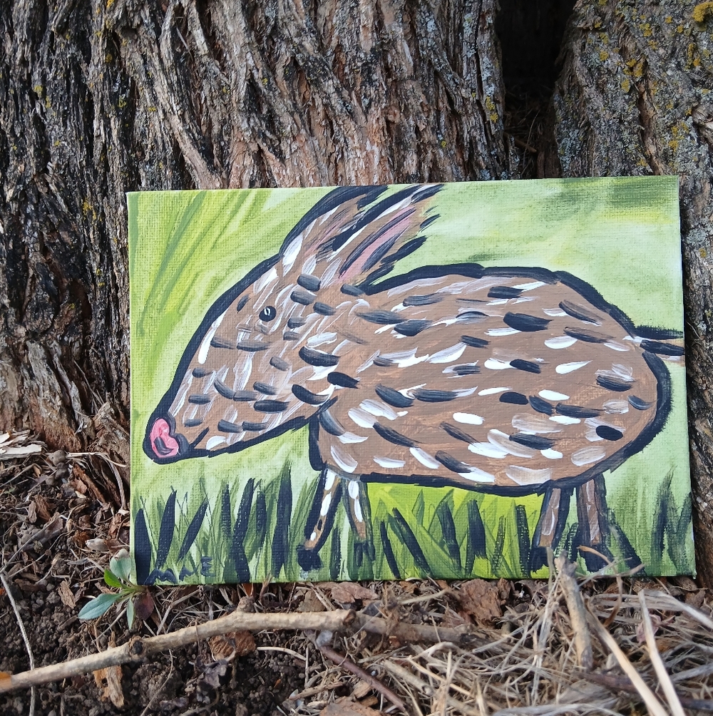 Wild Hog Painting Folk Art